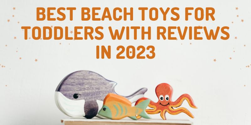 Best Beach Toys for Toddlers With Reviews in 2023